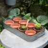 Terracotta Grow Pots - Set Of 8 With Tray -GardenGlamour pr2000028372