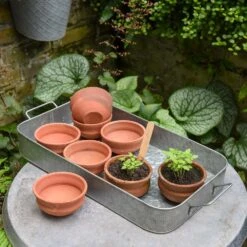 Terracotta Grow Pots - Set Of 8 With Tray -GardenGlamour pr2000028372 card4 lg