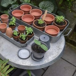 Terracotta Grow Pots - Set Of 8 With Tray -GardenGlamour pr2000028372 card8 lg