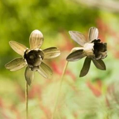 Daffodil Flower Stake - Antique Brass -GardenGlamour pr2000028377 card3 lg