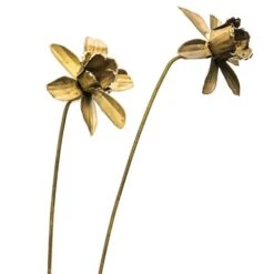 Daffodil Flower Stake - Antique Brass -GardenGlamour pr2000028377 card6 lg