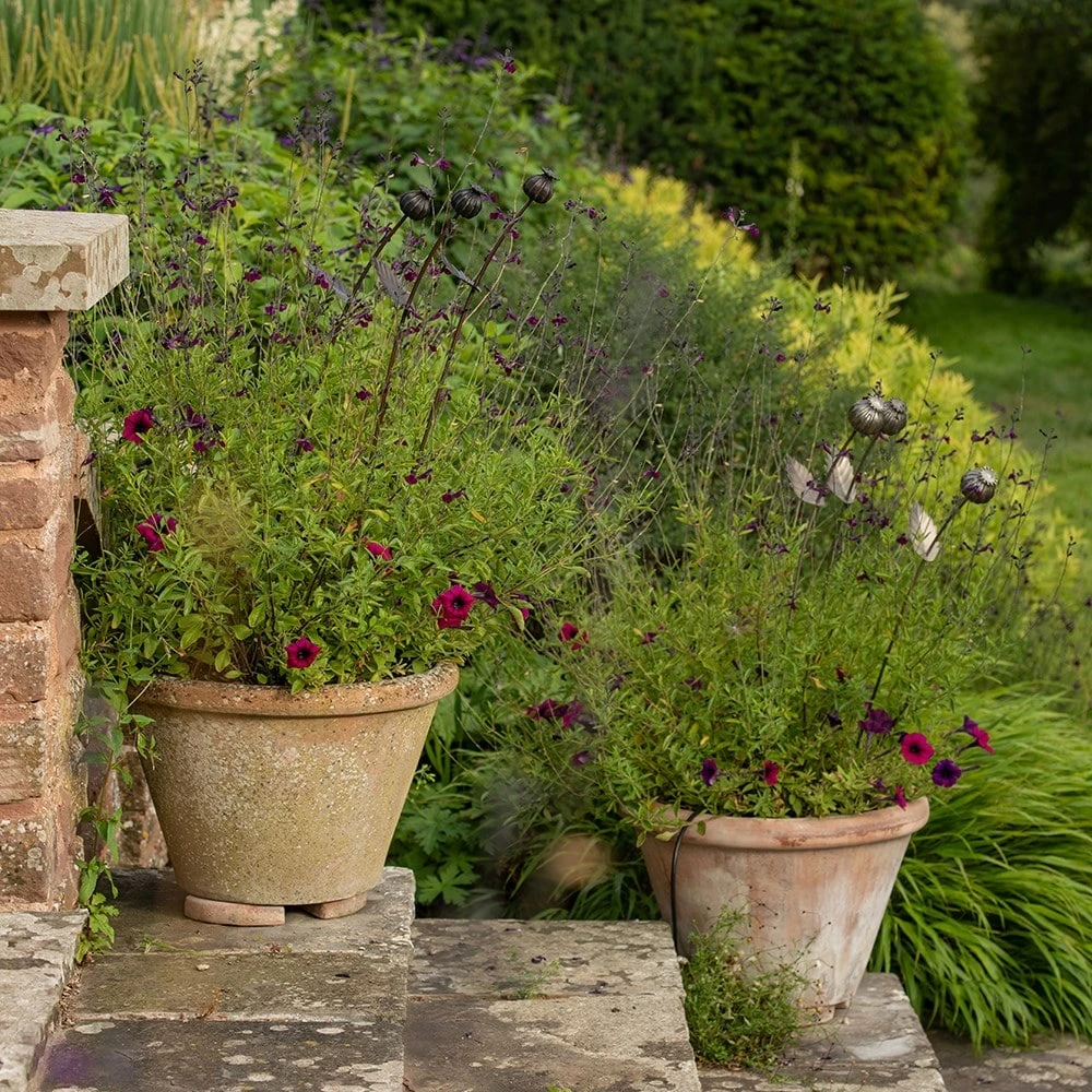 Poppy Seed Head Stake - Small Seed Head 10 Poppy Seed Head Stake - Small Seed Head - Image 8