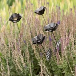 Poppy Flower Stake 12 Poppy Flower Stake -GardenGlamour pr2000028381 card3 lg