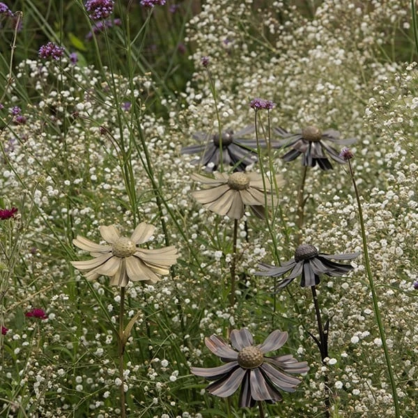 Helenium Flower Stake 7 Helenium Flower Stake - Image 5