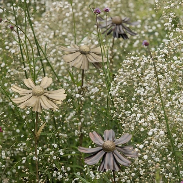 Helenium Flower Stake 8 Helenium Flower Stake - Image 6