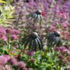 Echinacea Plant Stake - Antique Pewter -GardenGlamour pr2000028412