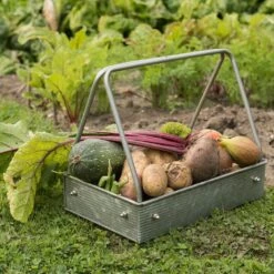 Planting Tray / Trug -GardenGlamour pr2000028415 card3 lg