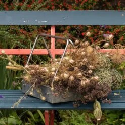 Planting Tray / Trug -GardenGlamour pr2000028415 card4 lg