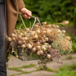 Planting Tray / Trug -GardenGlamour pr2000028415 card7 lg