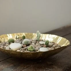 Brass Plant Bowl -GardenGlamour pr2000028421 card3 lg