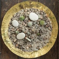 Brass Plant Bowl -GardenGlamour pr2000028421 card4 lg