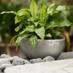 Rough Cast Aluminium Bowl -GardenGlamour pr2000028424 card10 lg