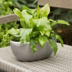Rough Cast Aluminium Bowl -GardenGlamour pr2000028424 card7 lg