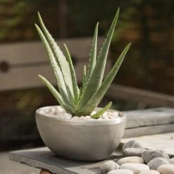 Rough Cast Aluminium Bowl -GardenGlamour pr2000028424 card8 lg