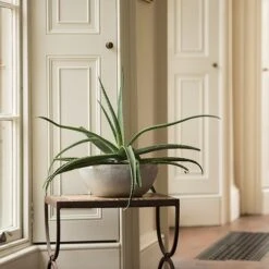 Rough Cast Aluminium Bowl -GardenGlamour pr2000028424 card9 lg