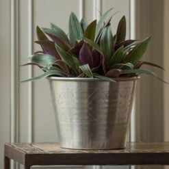 Hand Etched Aluminium Planter -GardenGlamour pr2000028556 card3 lg