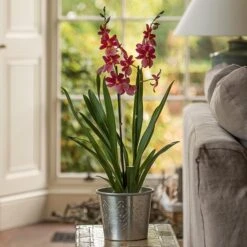 Hand Etched Aluminium Planter -GardenGlamour pr2000028556 card6 lg