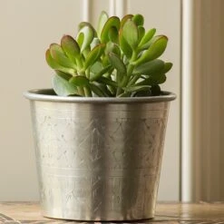 Hand Etched Aluminium Planter -GardenGlamour pr2000028556 card8 lg