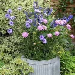 Zinc Dolly Tub Planter -GardenGlamour pr2000028721 card4 lg