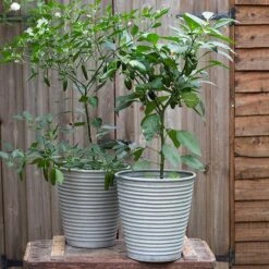 Ribbed Zinc Planter -GardenGlamour pr2000028781 card9 lg