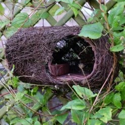 Brushwood Robin Nester -GardenGlamour pr2000029694 card3 lg