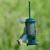 The Squirrel Buster Seed Feeder -GardenGlamour pr2000031075