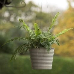 Hanging Aged Ribbed Planter -GardenGlamour pr2000031414 card5 lg