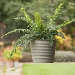 Hanging Aged Ribbed Planter -GardenGlamour pr2000031414 card6 lg