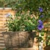 Rectangular Net Hanging Basket -GardenGlamour pr2000031461
