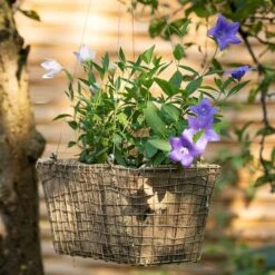 Rectangular Net Hanging Basket -GardenGlamour pr2000031461 card7 lg