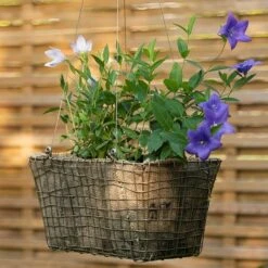 Rectangular Net Hanging Basket -GardenGlamour pr2000031461 card9 lg