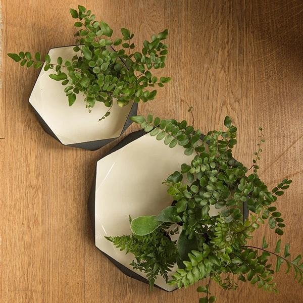 Enamelled Geo Metal Plant Tray 4 Enamelled Geo Metal Plant Tray - Image 2