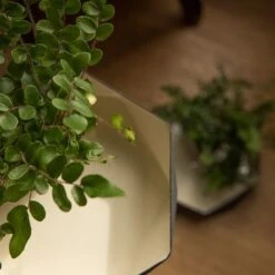 Enamelled Geo Metal Plant Tray 9 Enamelled Geo Metal Plant Tray -GardenGlamour pr2000031479 card3 lg