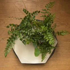 Enamelled Geo Metal Plant Tray 10 Enamelled Geo Metal Plant Tray -GardenGlamour pr2000031479 card4 lg