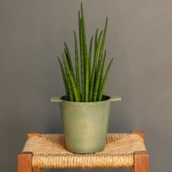 Cast Aluminium Pot Cover With Verdigris Patina -GardenGlamour pr2000031480 card3 lg