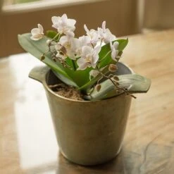 Cast Aluminium Pot Cover With Verdigris Patina -GardenGlamour pr2000031480 card8 lg