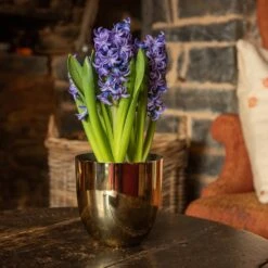 Polished Brass Pot Cover -GardenGlamour pr2000031483 card3 lg