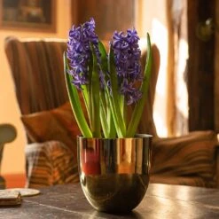 Polished Brass Pot Cover -GardenGlamour pr2000031483 card4 lg