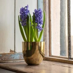 Polished Brass Pot Cover -GardenGlamour pr2000031483 card5 lg