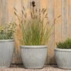 Zinc Dolly Pot -GardenGlamour pr2000031492