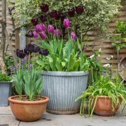 Zinc Dolly Pot -GardenGlamour pr2000031492 card5 lg