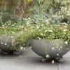 Sphere Plant Bowl -GardenGlamour pr2000031495
