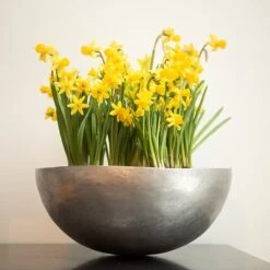 Sphere Plant Bowl -GardenGlamour pr2000031495 card6 lg