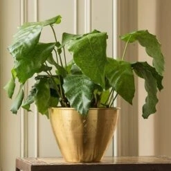 Solid Etched Brass Pot Cover -GardenGlamour pr2000031507 card3 lg