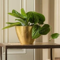 Solid Etched Brass Pot Cover -GardenGlamour pr2000031507 card4 lg