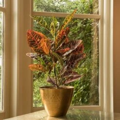 Solid Etched Brass Pot Cover -GardenGlamour pr2000031507 card8 lg