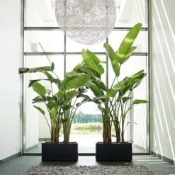 Pure Soft Brick Long Wheels Anthracite -GardenGlamour pr2000032307 card2 lg