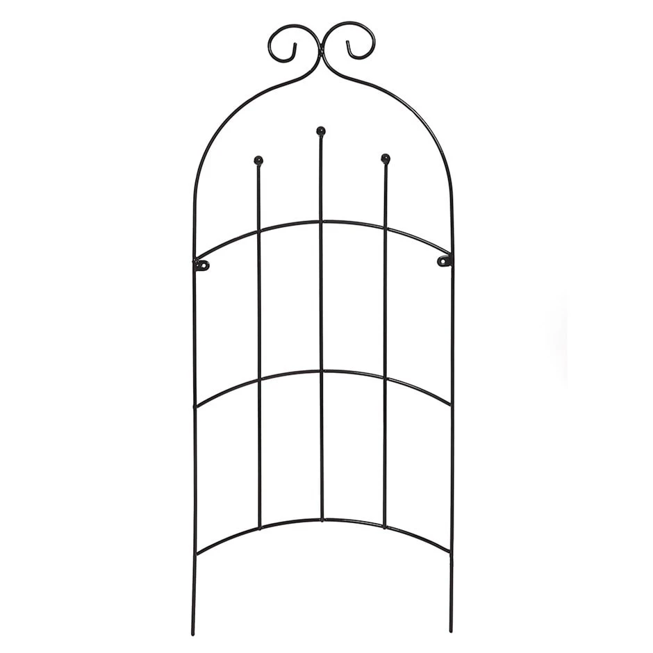 Mimosa Trellis 3 Mimosa Trellis