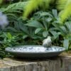 Aged Ceramic Bird Bath -GardenGlamour pr2000033772
