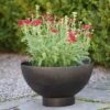 Iron Bowl Planter -GardenGlamour pr2000033929